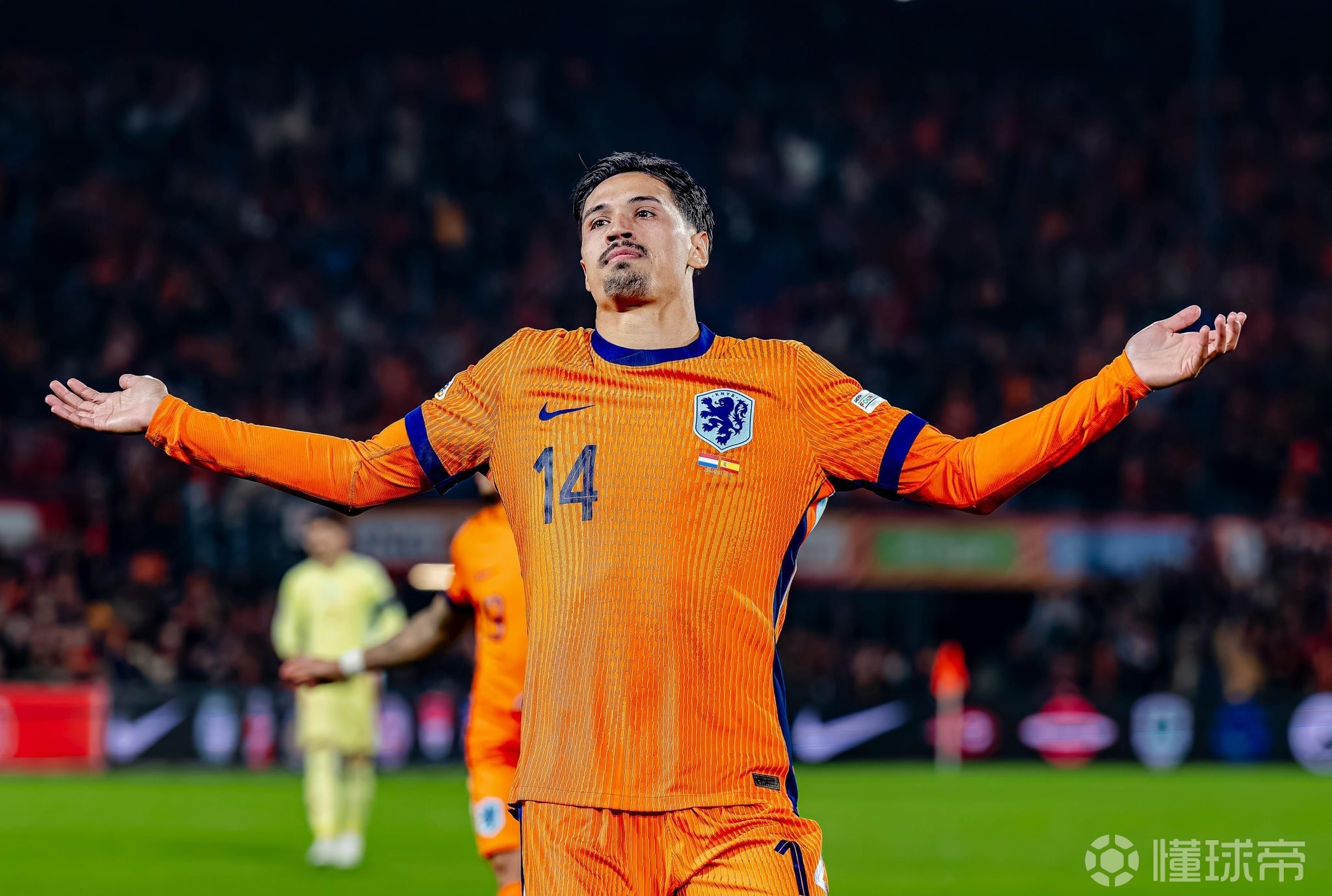 包含荷兰队在锦标赛中展现强大球技的词条