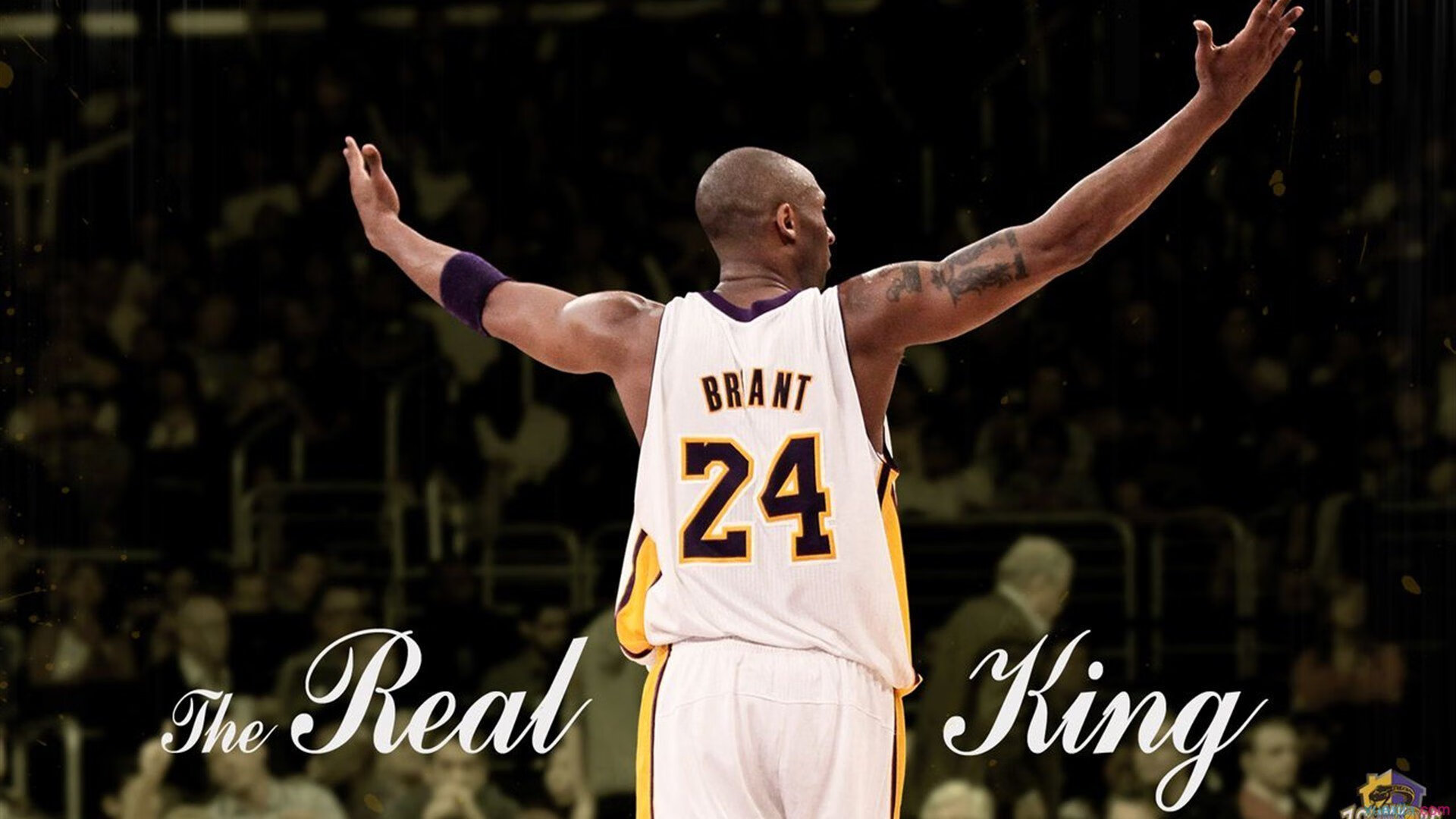 奥运周期关键战之夜,蒂亚戈稳定输出不掉线